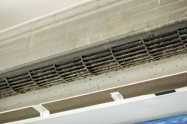 Affordable HVAC Duct Cleaning in Basile, LA