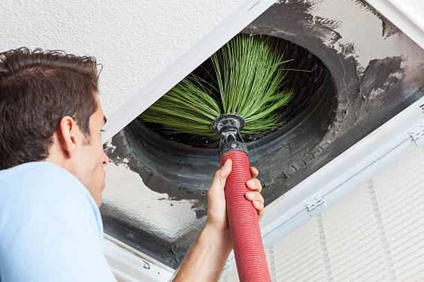 Best Emergency Air Duct Cleaning  in Basile, LA